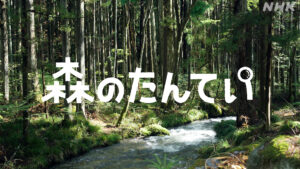 あおきいろ　新コーナー「森のたんてい」放送のお知らせ