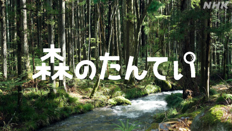 森のたんてい＃1 ロゴあり